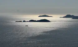 Featured image of post 2025 年度回顾：缝隙中的光与尘